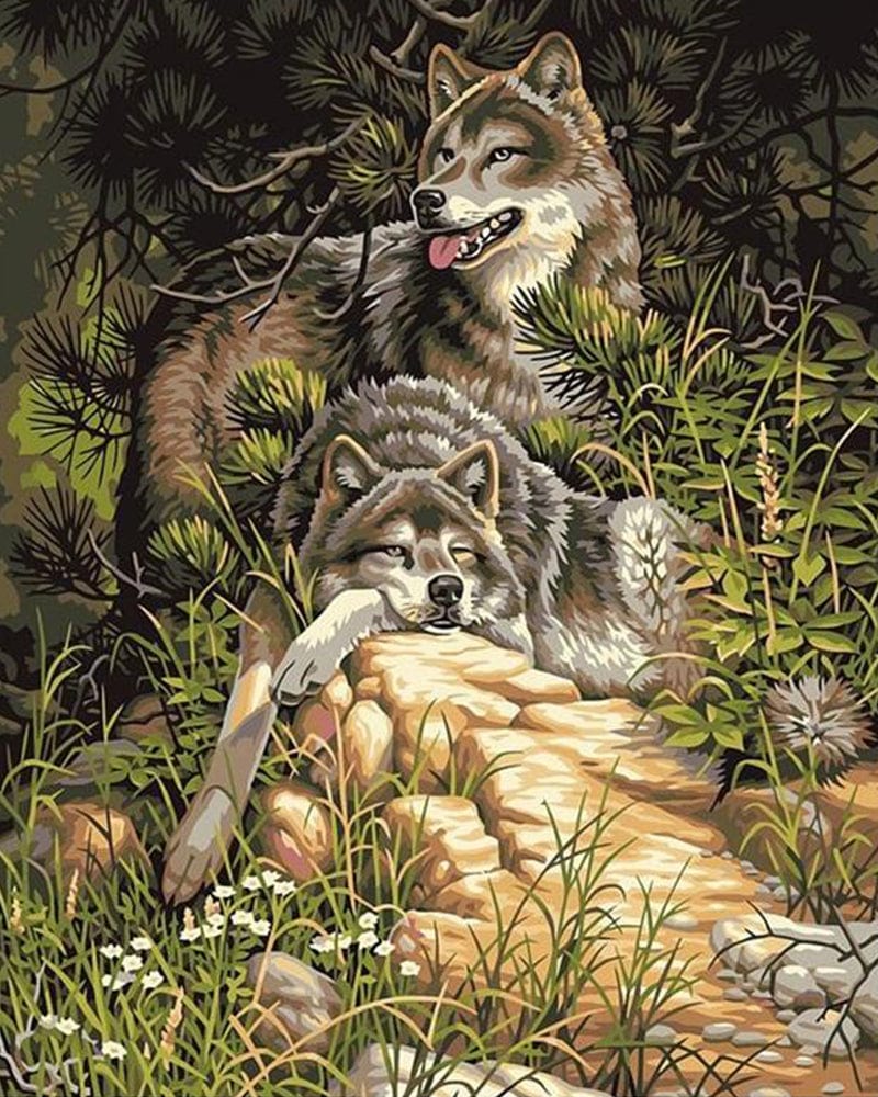 paintingnumberart Paint By Numbers Kit – Two Grey Wolves