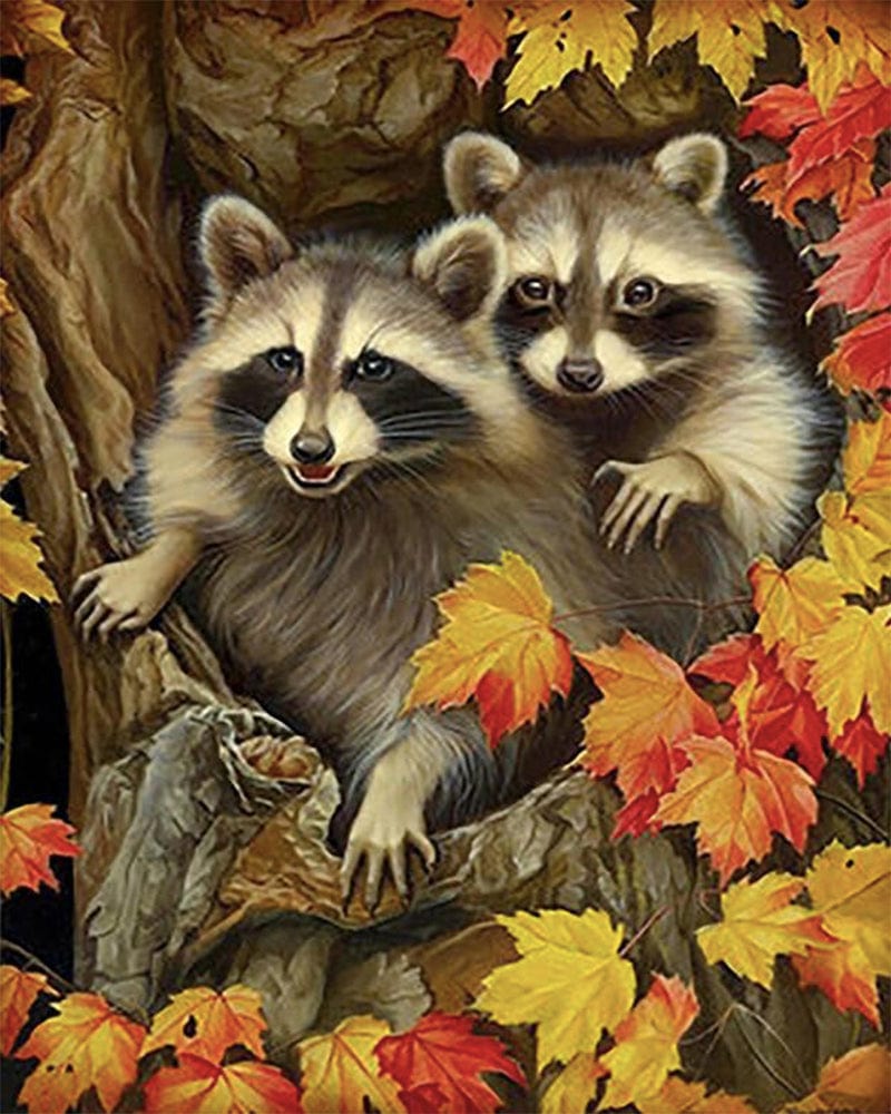 paintingnumberart Paint By Numbers Kit – Two Racoons