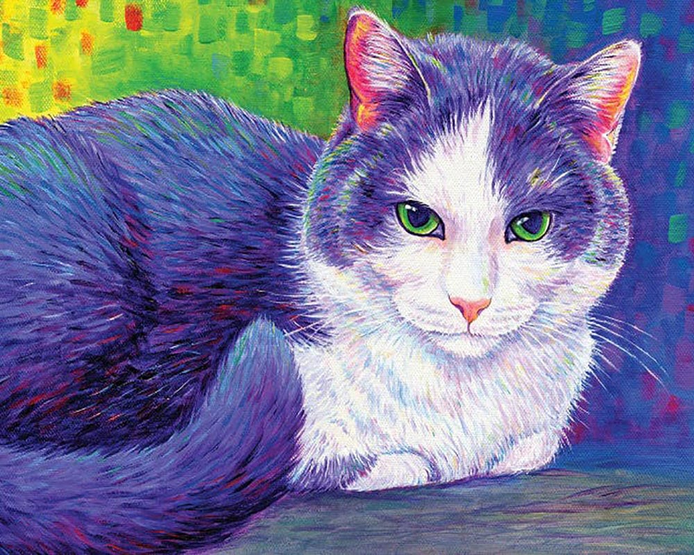 paintingnumberart Paint By Numbers Kit-Vibrant Tuxedo Cat