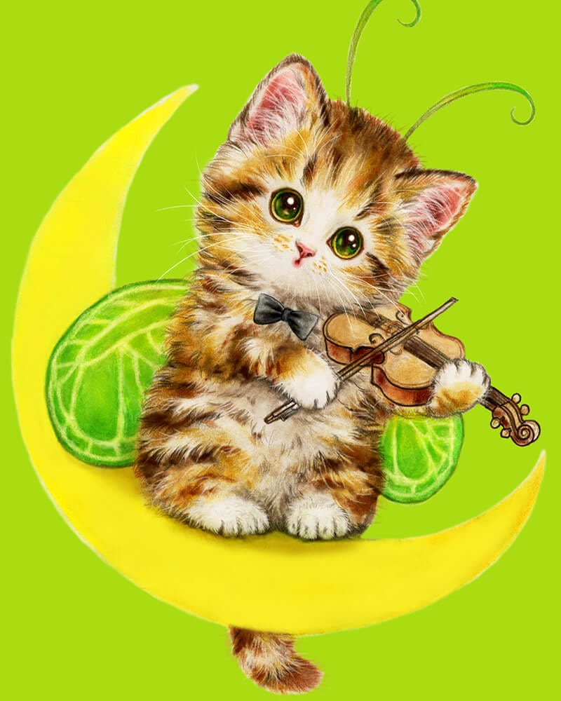 paintingnumberart Paint By Numbers Kit- Violin cat