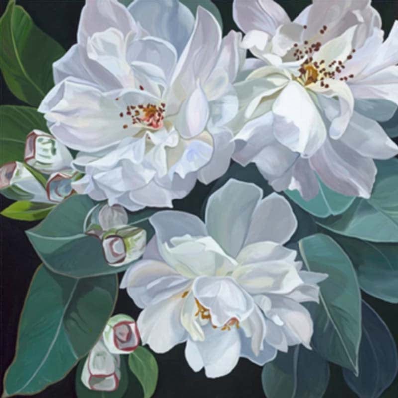 paintingnumberart Paint By Numbers Kit – White Roses and Eucalyptus