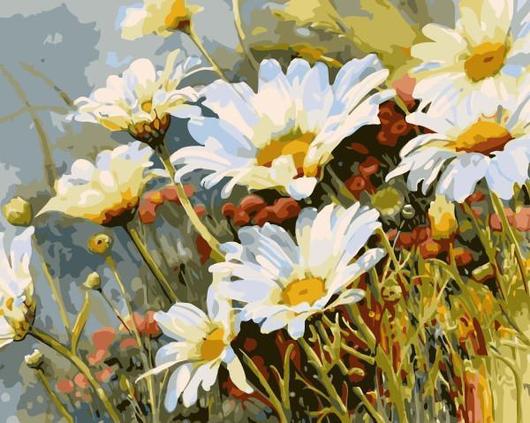 paintingnumberart Paint By Numbers Kit – Wild Daisies