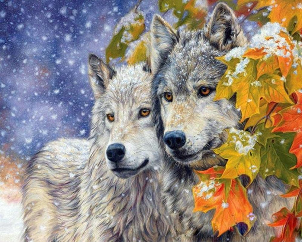 paintingnumberart Paint By Numbers Kit – Wolf Couple