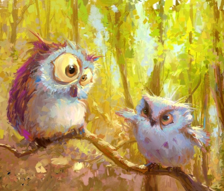paintingnumberart Pair of owls – Birds Paint By Number