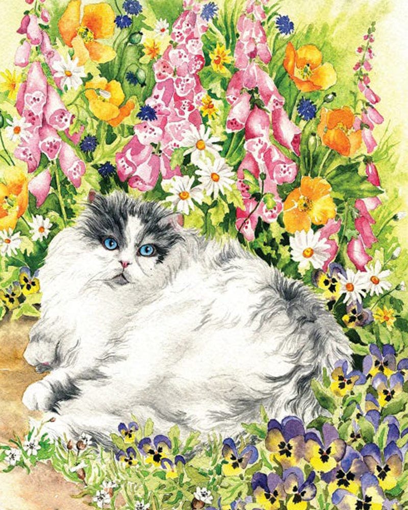 paintingnumberart Persian Cat And Pansies-Paint By Numbers Kit