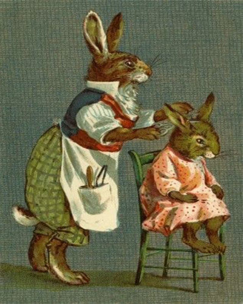 paintingnumberart Peter rabbit 2 – Paint By Numbers Kit