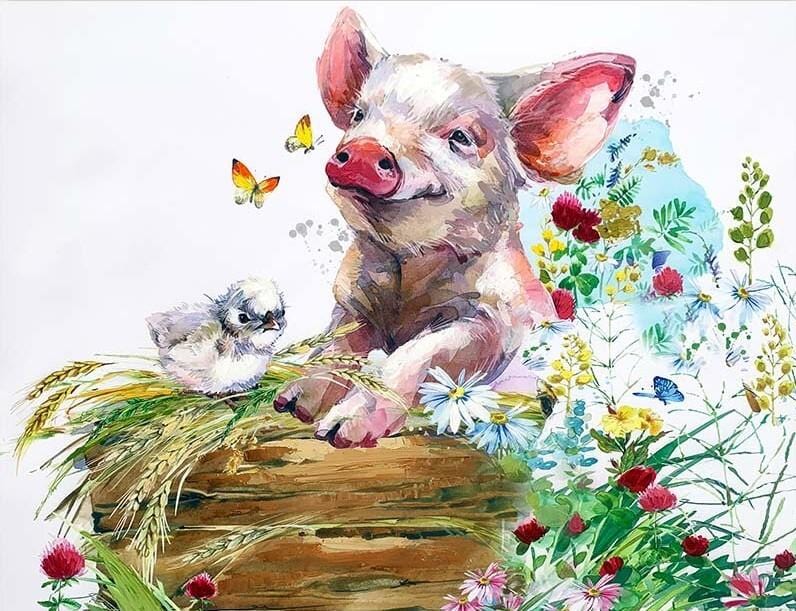 paintingnumberart Pig and Bird – Animals Paint By Number