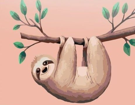 paintingnumberart Pink Sloth – Animals Paint By Numbers