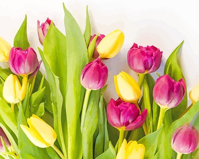 paintingnumberart Pink Yellow Flowers – NEW Paint By Numbers