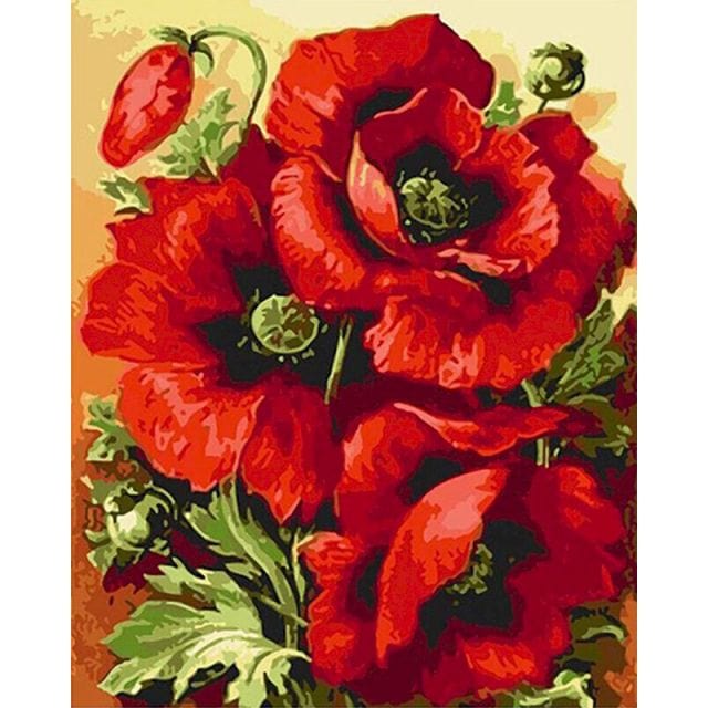 paintingnumberart Poppy flower-Paint by Numbers Kit 的副本