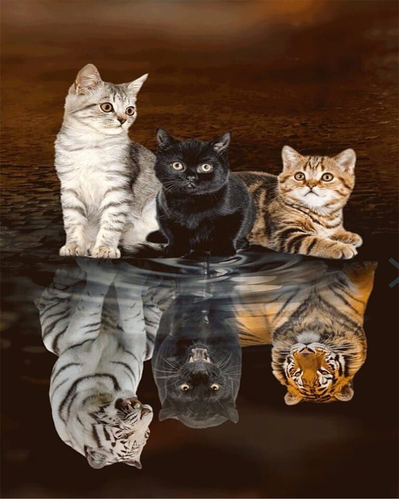 paintingnumberart Reflection in water-Paint By Numbers Kit