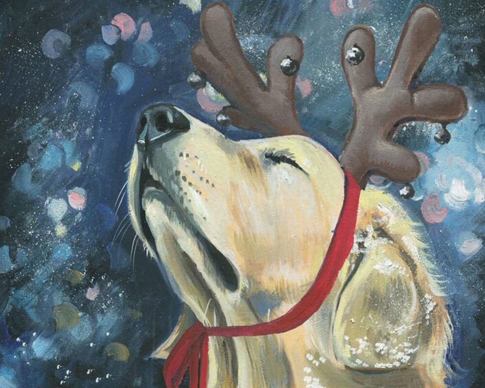 paintingnumberart Reindeer Lab-Paint by Numbers Kit
