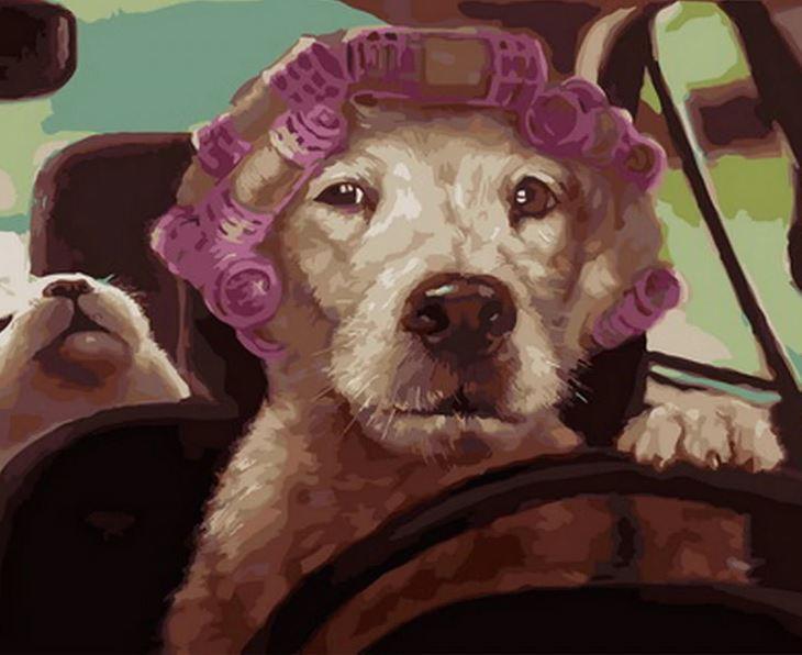 paintingnumberart Rolling Dog – Animals Paint By Number