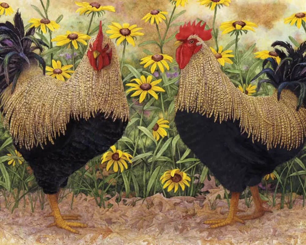 paintingnumberart Roosters en Place-Paint by Numbers Kit