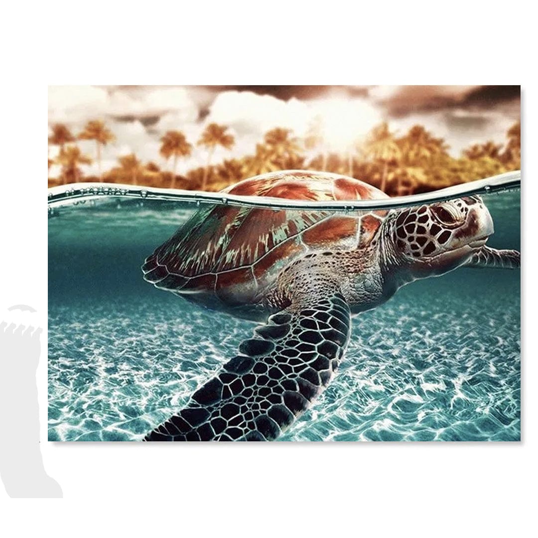 paintingnumberart Sea Turtle – Animals Paint By Number