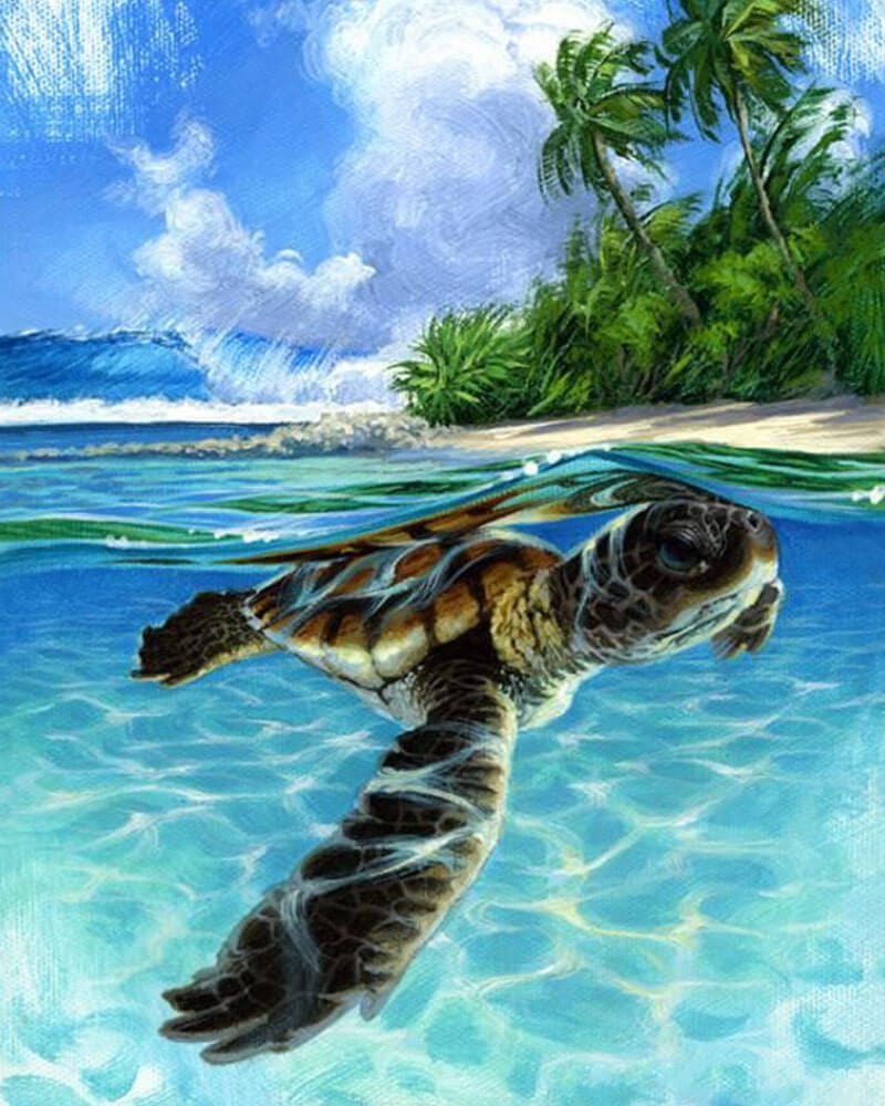 paintingnumberart Sea turtle1-Paint by Numbers Kit