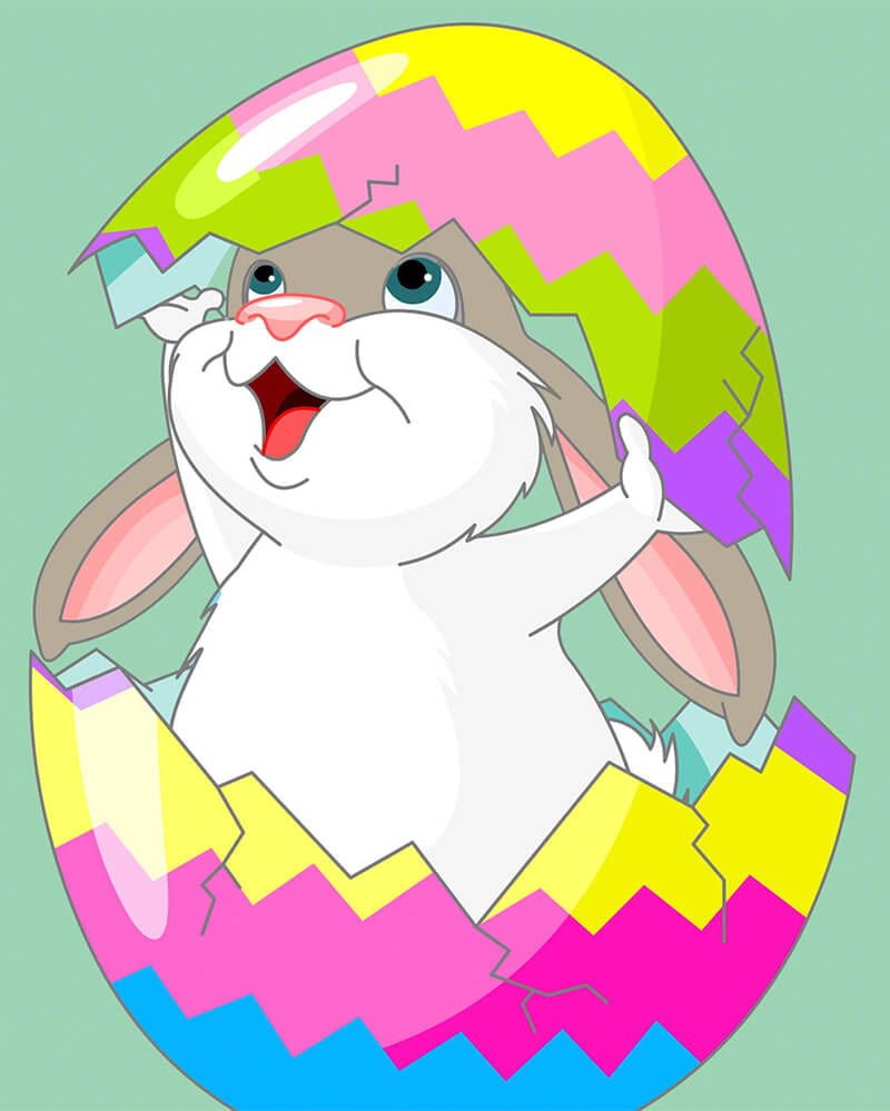 paintingnumberart Shelled Bunny – Paint By Numbers Kit