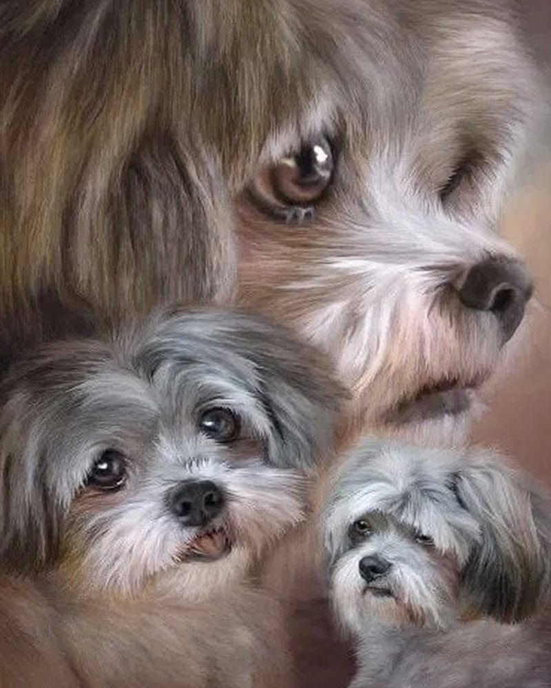 paintingnumberart Shih Tzu Dogs – Animals Paint By Numbers