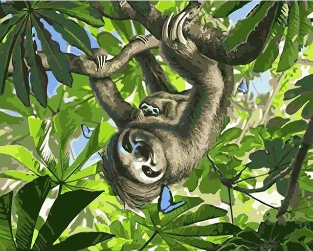 paintingnumberart Sloth on a Tree – Animals Paint By Number