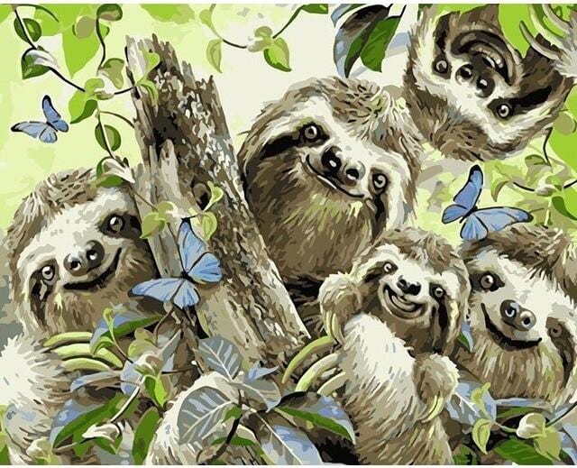 paintingnumberart Sloth Selfie – Animals Paint By Number