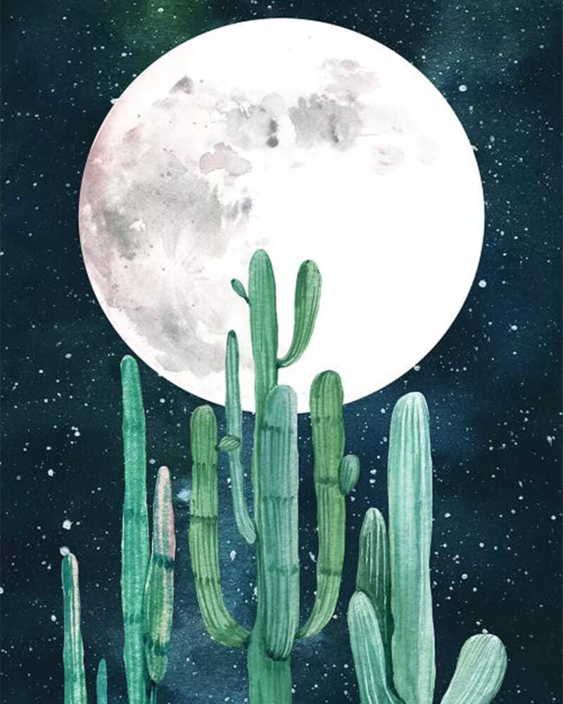 paintingnumberart Southwestern Green Cactus Trio II-Paint by Numbers Kit