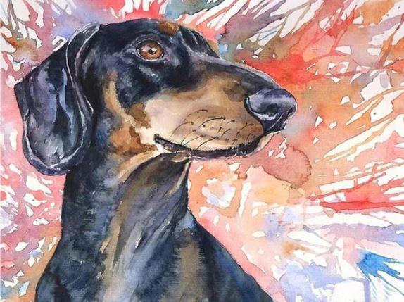 paintingnumberart Splatter Dachshund Dog – Animals Paint By Number