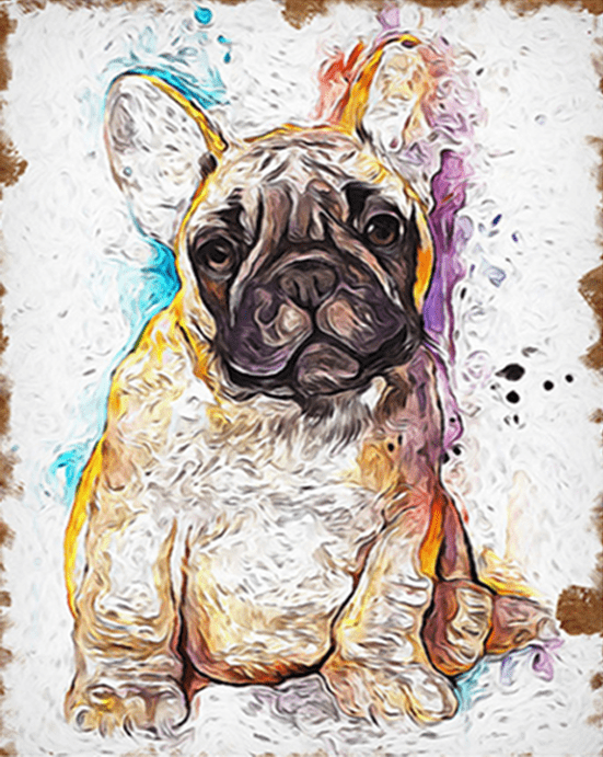 paintingnumberart Splatter French Bulldog – Animals Paint By Numbers