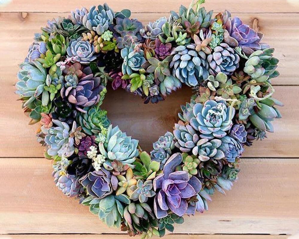 paintingnumberart Succulent Heart-Paint by Numbers Kit