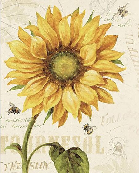 paintingnumberart Sunflower Flower – Flowers Paint By Number