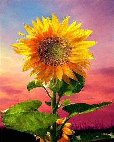 paintingnumberart Sunflower on Sky – Flowers Paint By Number