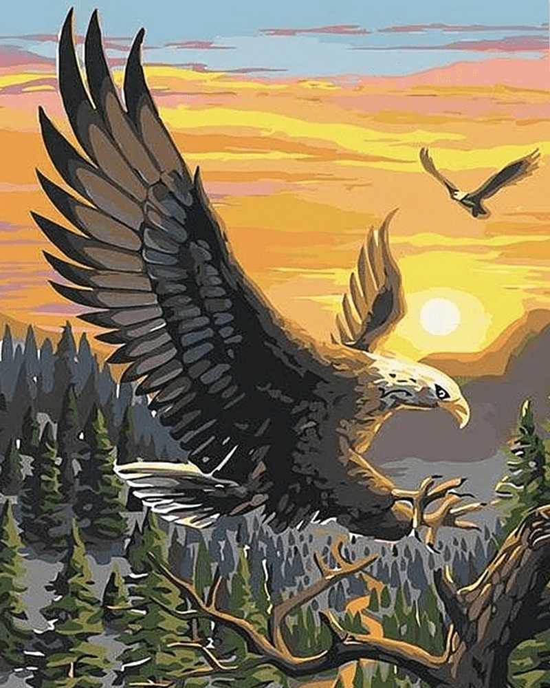 paintingnumberart Sunset Eagle – Paint By Numbers Kit