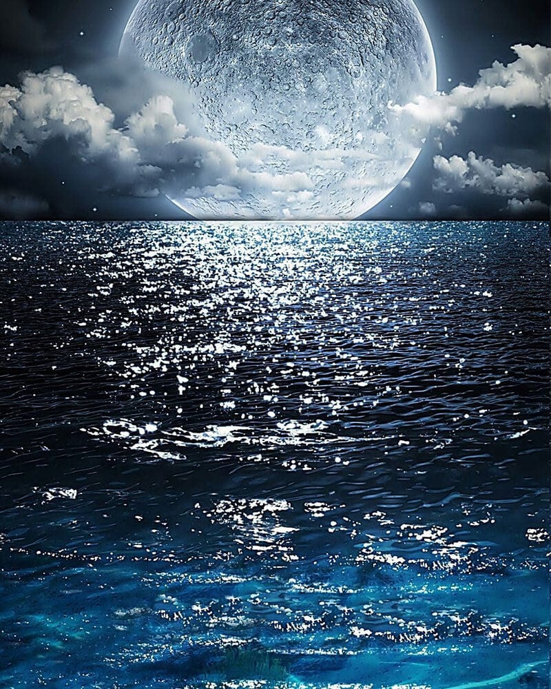 paintingnumberart The sea and the moon live in symbiosis-paint by number kit