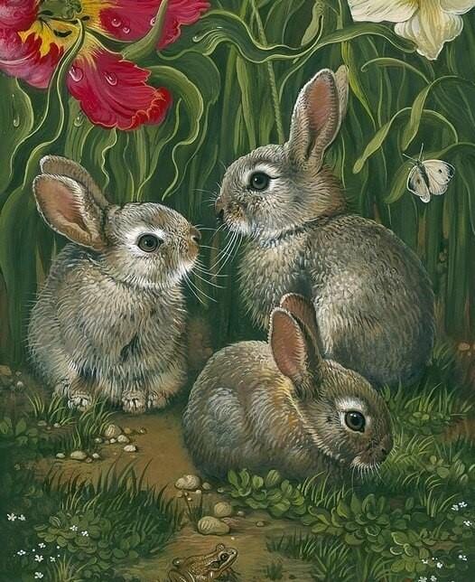 paintingnumberart Three Grey Rabbits – Animals Paint By Number