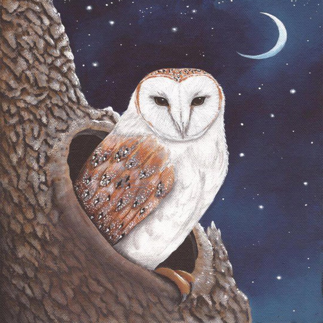 paintingnumberart Tree Hole midnight Owl-Mini DIY Paint by Numbers Kit
