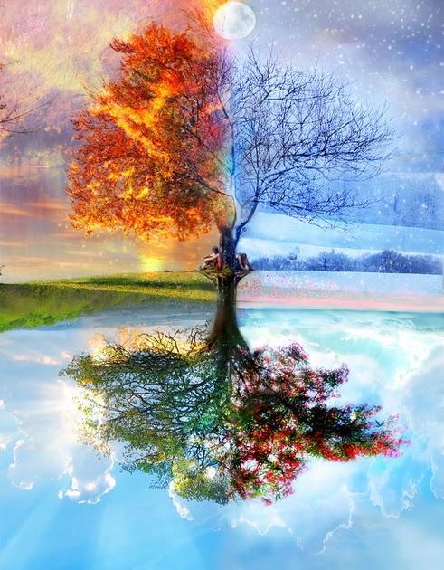 paintingnumberart Tree Through Four Seasons – Landscape Paint By Number
