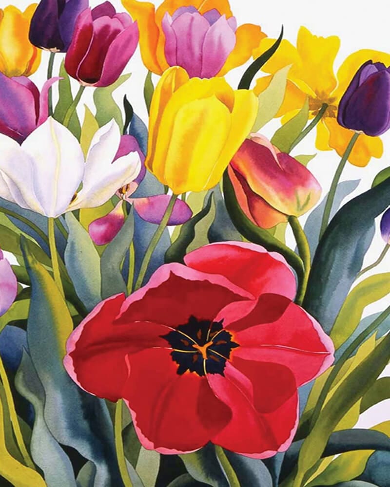 paintingnumberart Tulip Garden -Paint by Numbers Kit