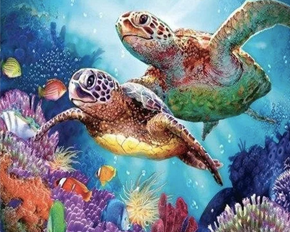 paintingnumberart Turtle Couple – Animals Paint By Number