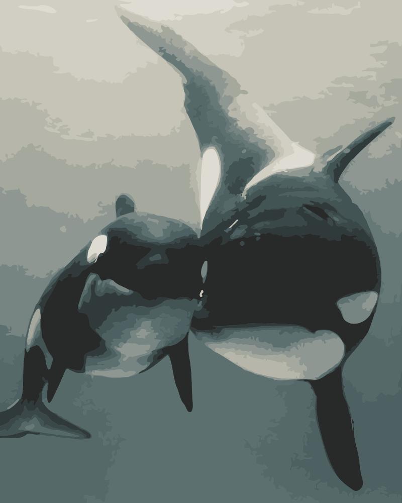 paintingnumberart Whale Mother And Child – Animals Paint By Number