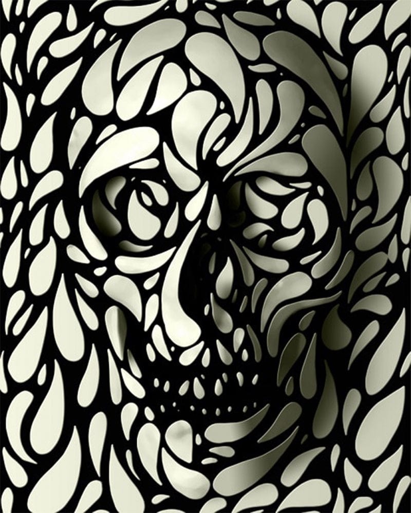 paintingnumberart White and Black Dye Skull-Paint by Numbers Kit