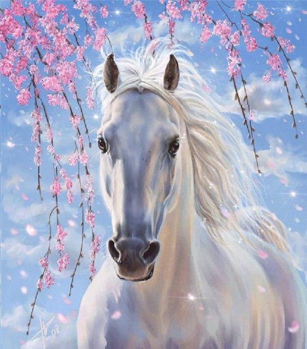 paintingnumberart White Horse with Flowers – Animals Paint By Number