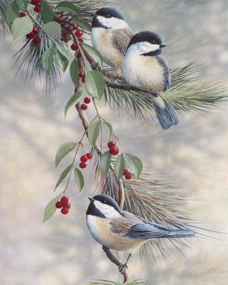 paintingnumberart Winter birds-Paint by Numbers Kit