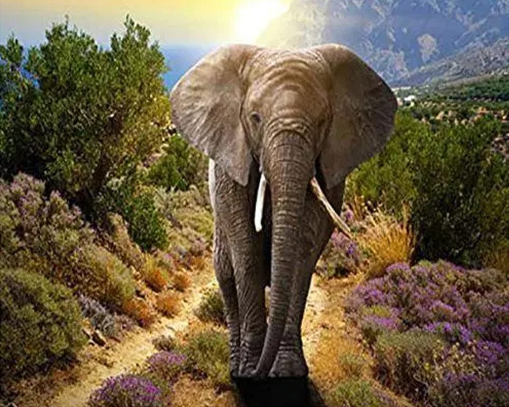 paintingnumberart Young Elephant – Animals Paint By Number